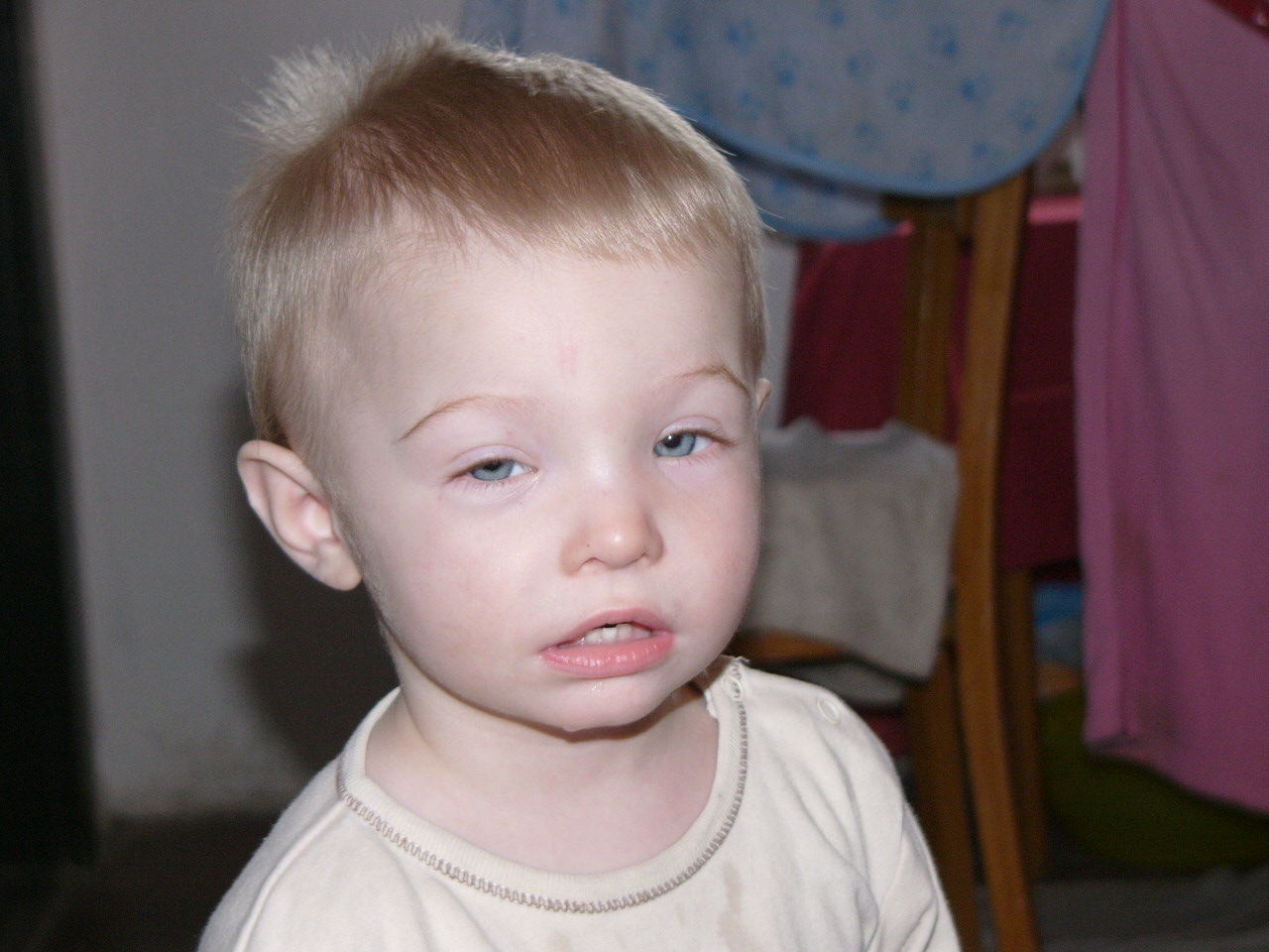 P1080034.JPG